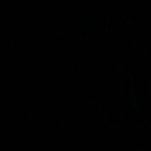 Meet your Posher, Kaycee